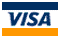 visa card